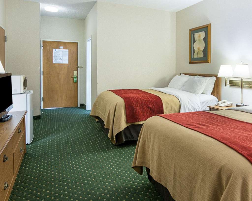 Comfort Inn Chester - Richmond South Kamer foto